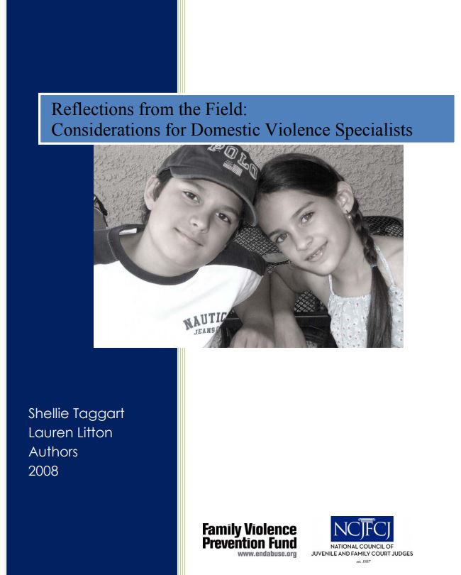 Reflections from the Field: DV Specialized Positions