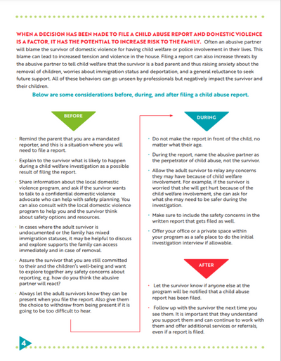Domestic Violence and Child Abuse Reports: A Complex Matter